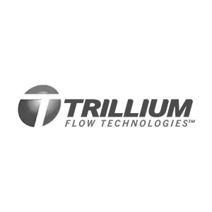 Cliente-Bava-Trillium