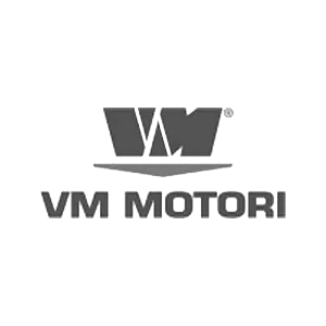 Cliente-Bava-VM-Motori